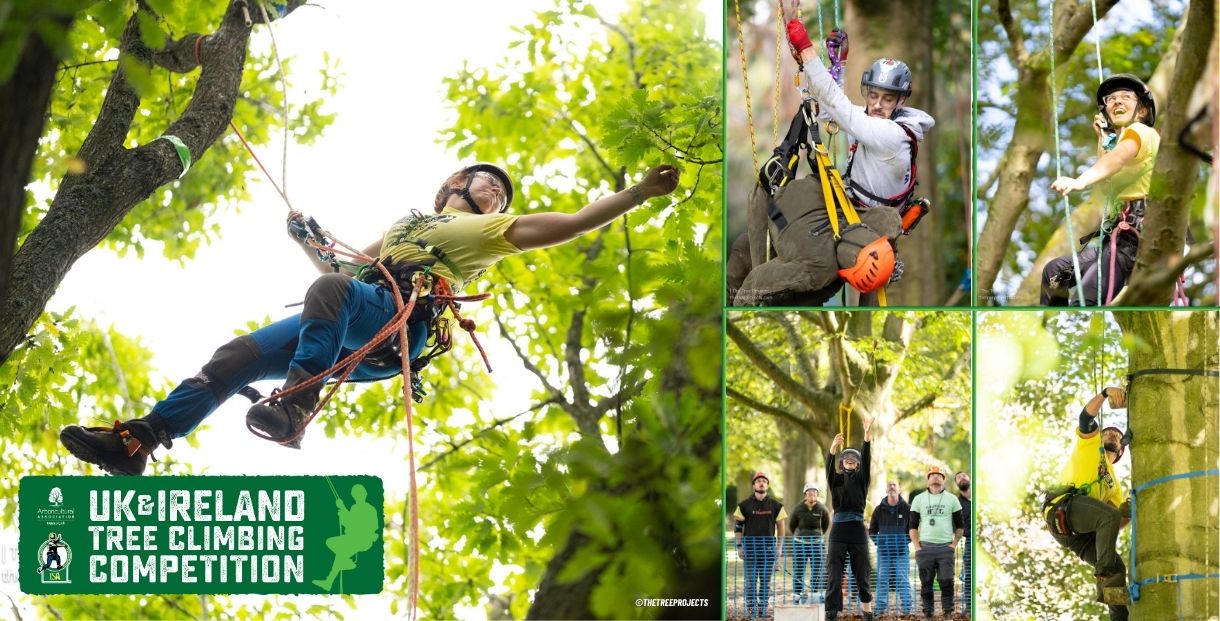 UK & Ireland Tree Climbing Competition 2026