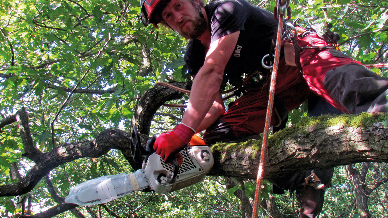 Climber Jake Radford preparing to carry out veteranisation treatments: 70%25 isopropanol and 10%25 bleach was used to sterilise bars, chains and side-cover interiors between treatments.