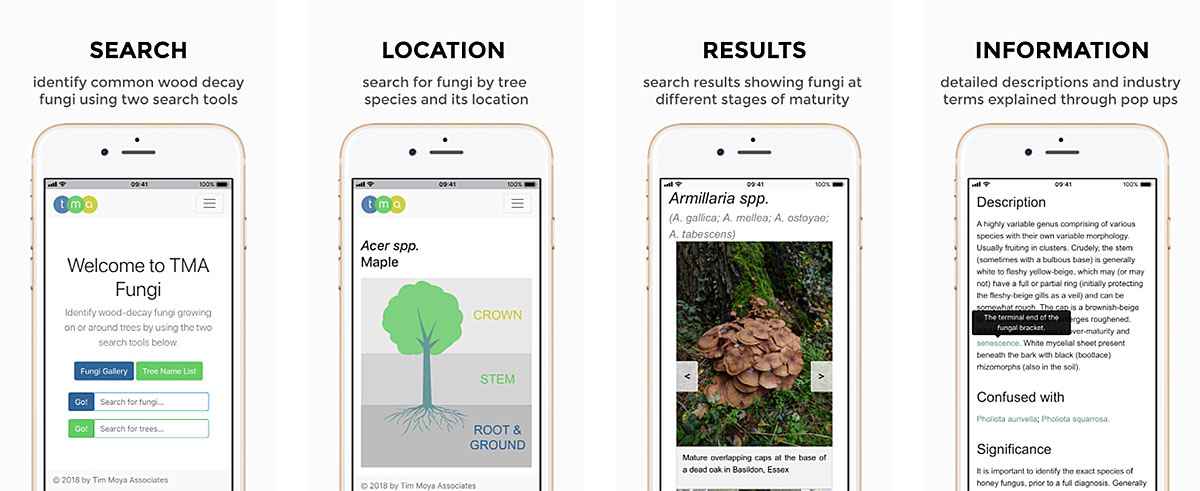 Arboricultural Association Identify Wood Decay Fungi Using Free Mobile App