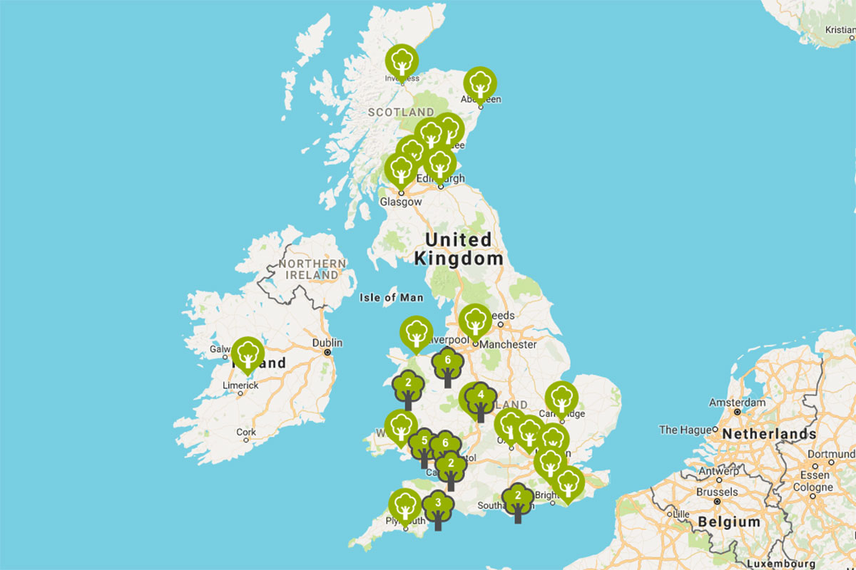 Urban Tree Cover Map