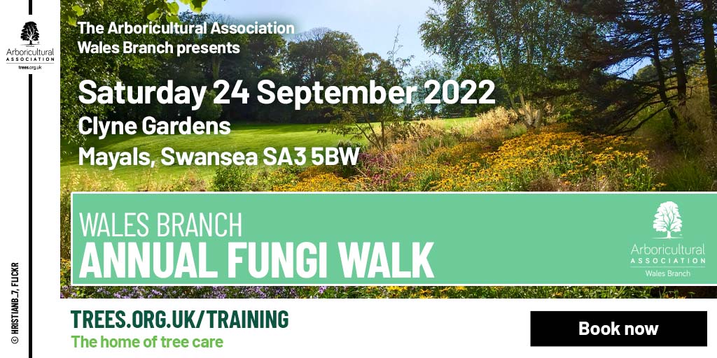 Wales Branch: Annual Fungi Walk