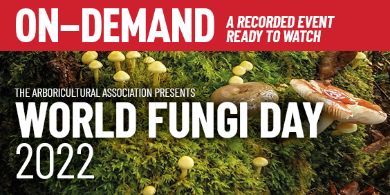 World Fungi Day 2022: On-Demand