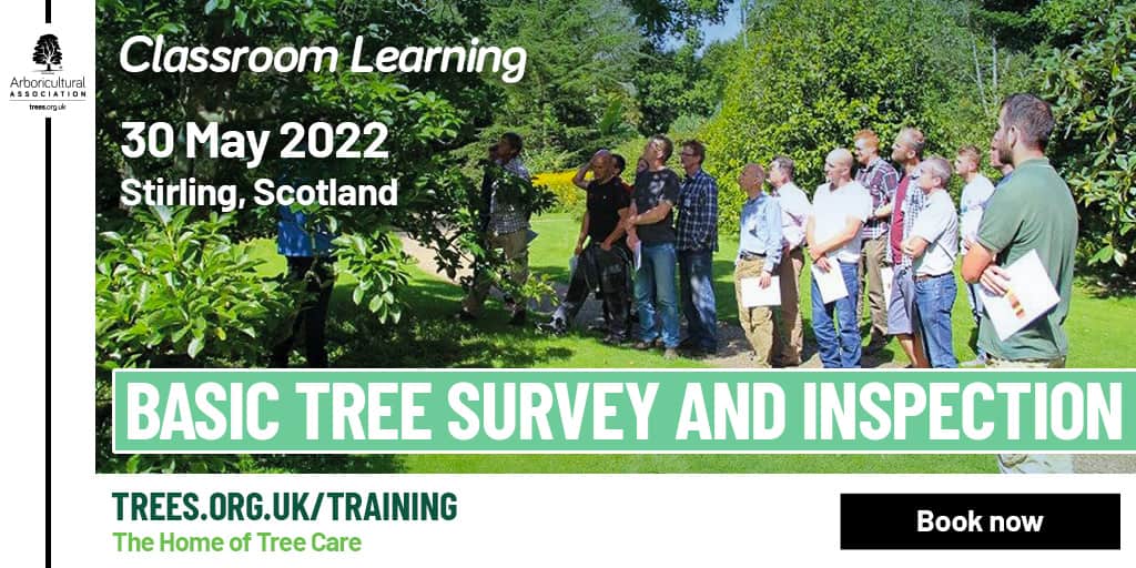 Basic Tree Survey & Inspection