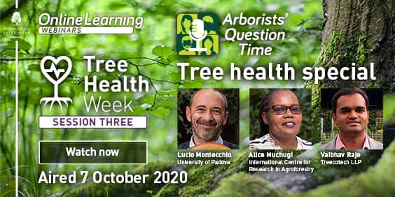 Tree Health Week – Session 3