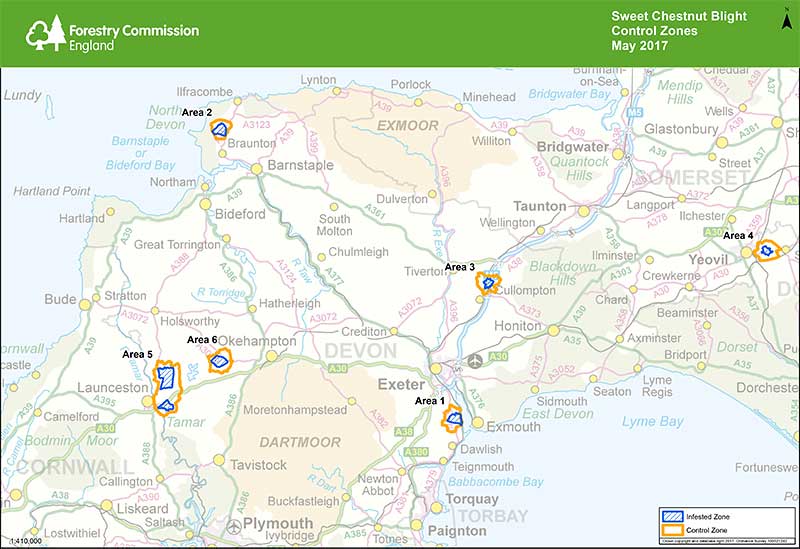 Sweet Chestnut Blight Alert