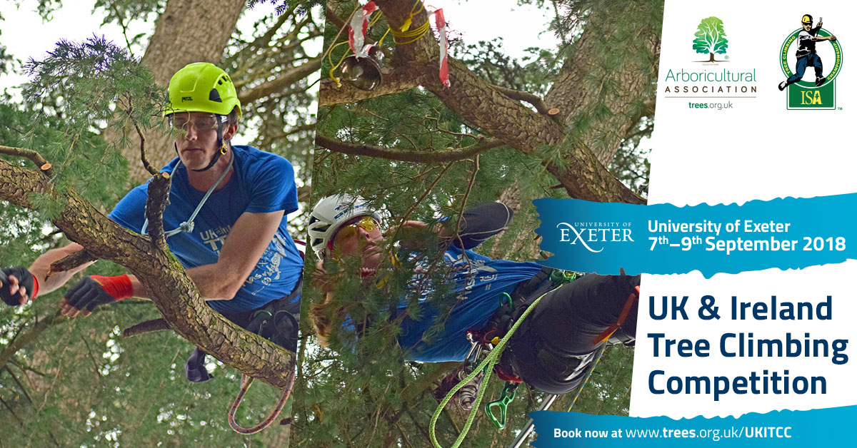Arboricultural Association - UK & Ireland Tree Climbing Competition ...
