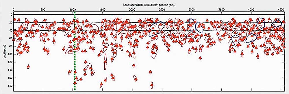 Figure 1: Cross-section of a scan line. The red triangles are roots. All roots are below 15cm deep, and generally between 15cm and 1m deep.