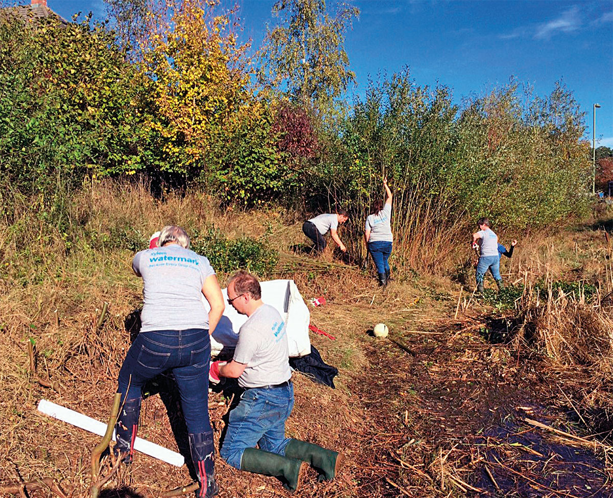 Xylem staff carrying out voluntary conservation work in an urban site in Basingstoke. (Photo: Basingstoke & Deane Borough Council)