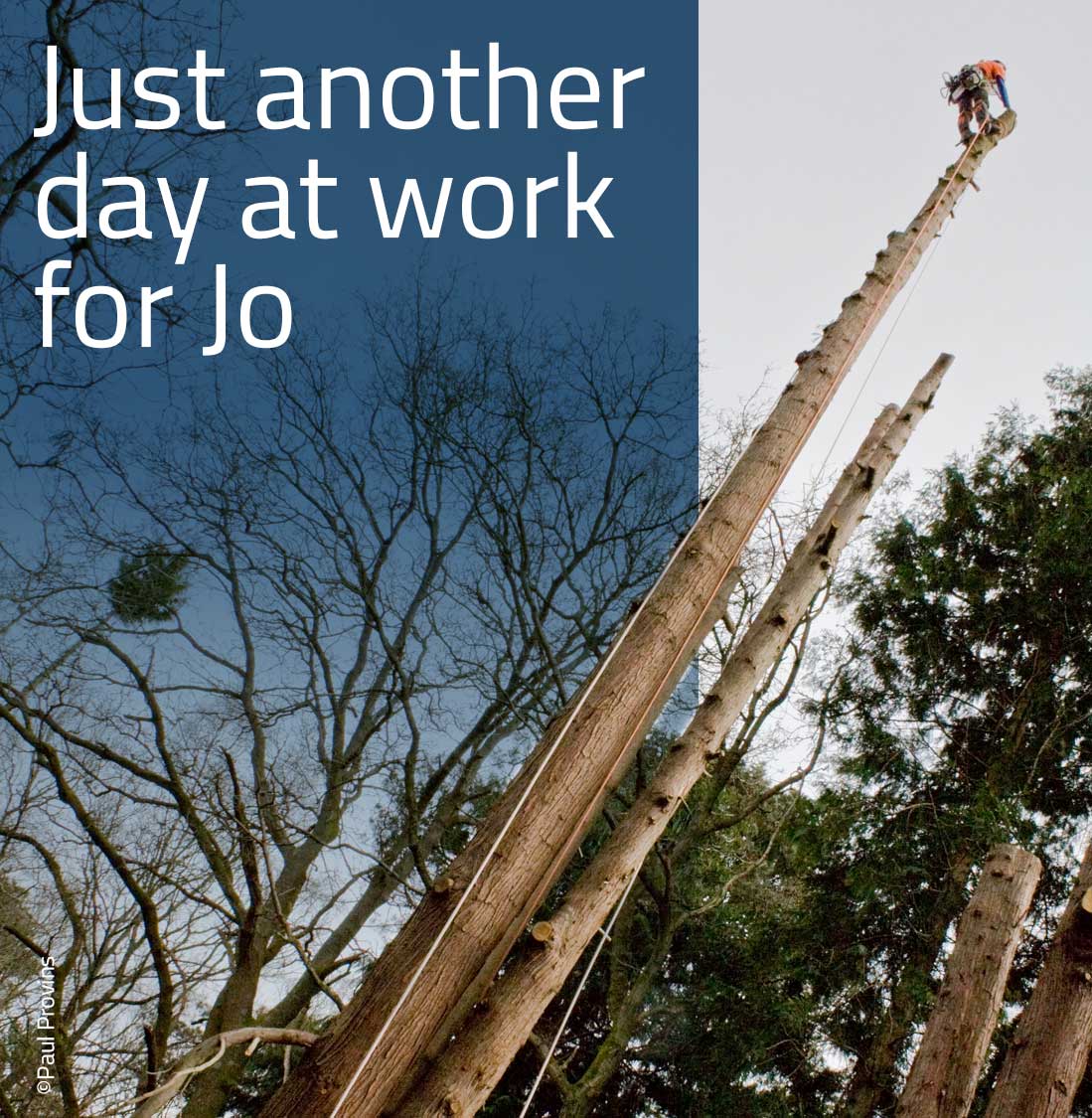 Just another day at work for Jo. (Paul Provins) Just another day at work for Jo. (Paul Provins)