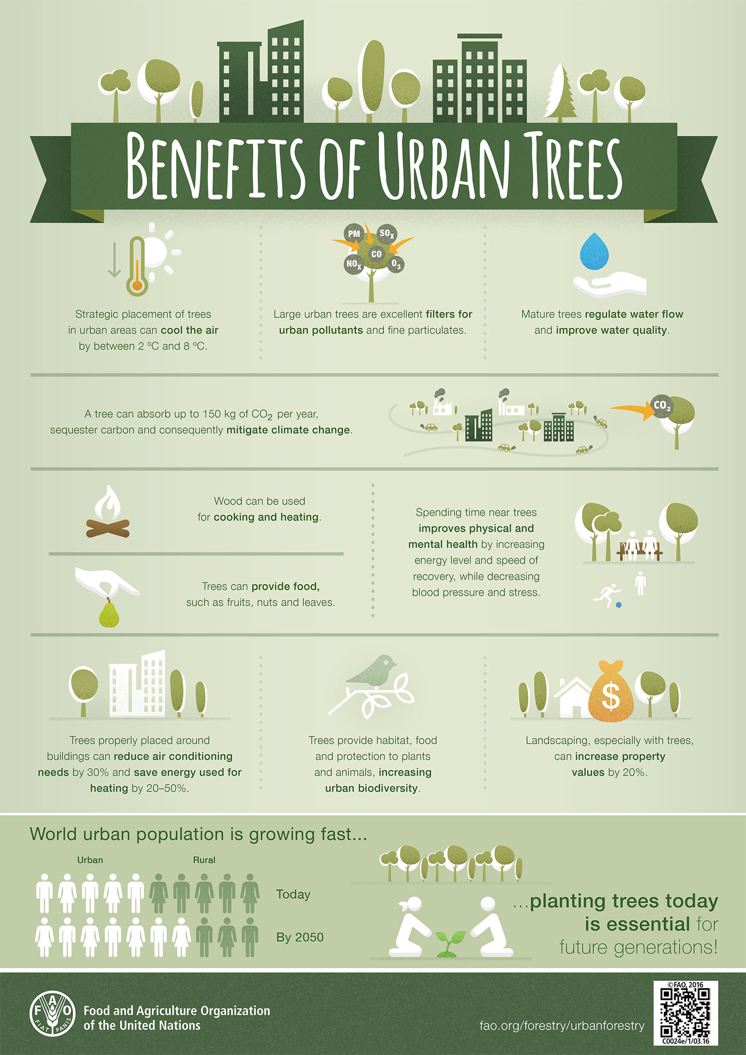 An infographic depicting the benefits of urban trees