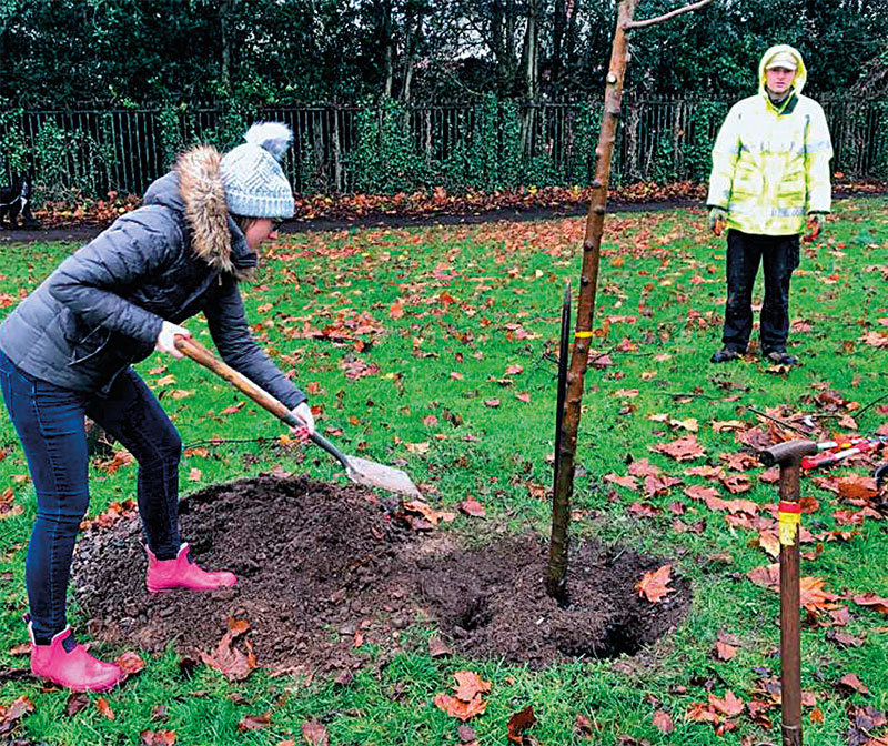 New urban trees in Cardiff sponsored by Cardiff Holiday Homes (Photo: Cardiff City Council)