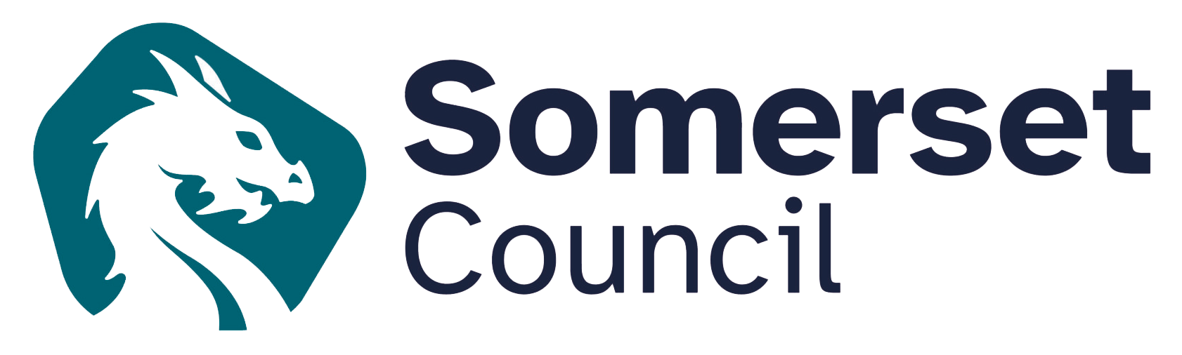 Somerset Council