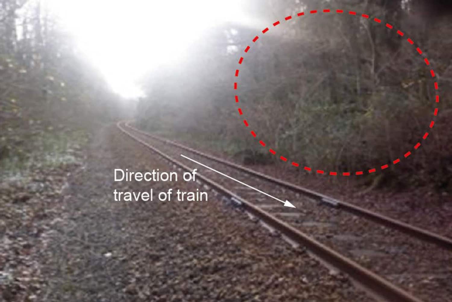 Pre-accident image with dashed line showing area from which trees fell