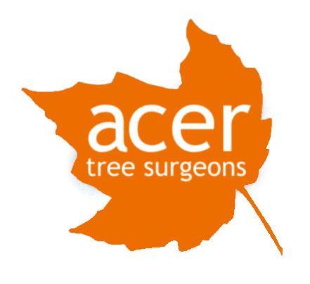 Acer Tree Surgeons