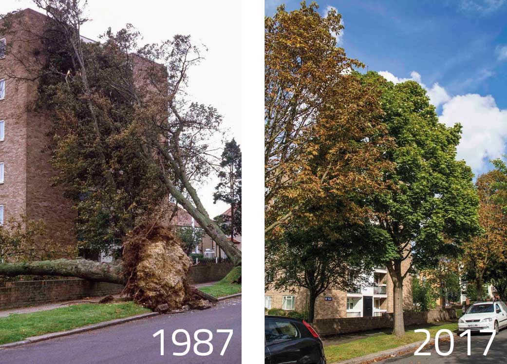 Woodcote Avenue, Wallington – then and now. The 1987 image was used on the front of the autumn issue of the ARB Magazine.