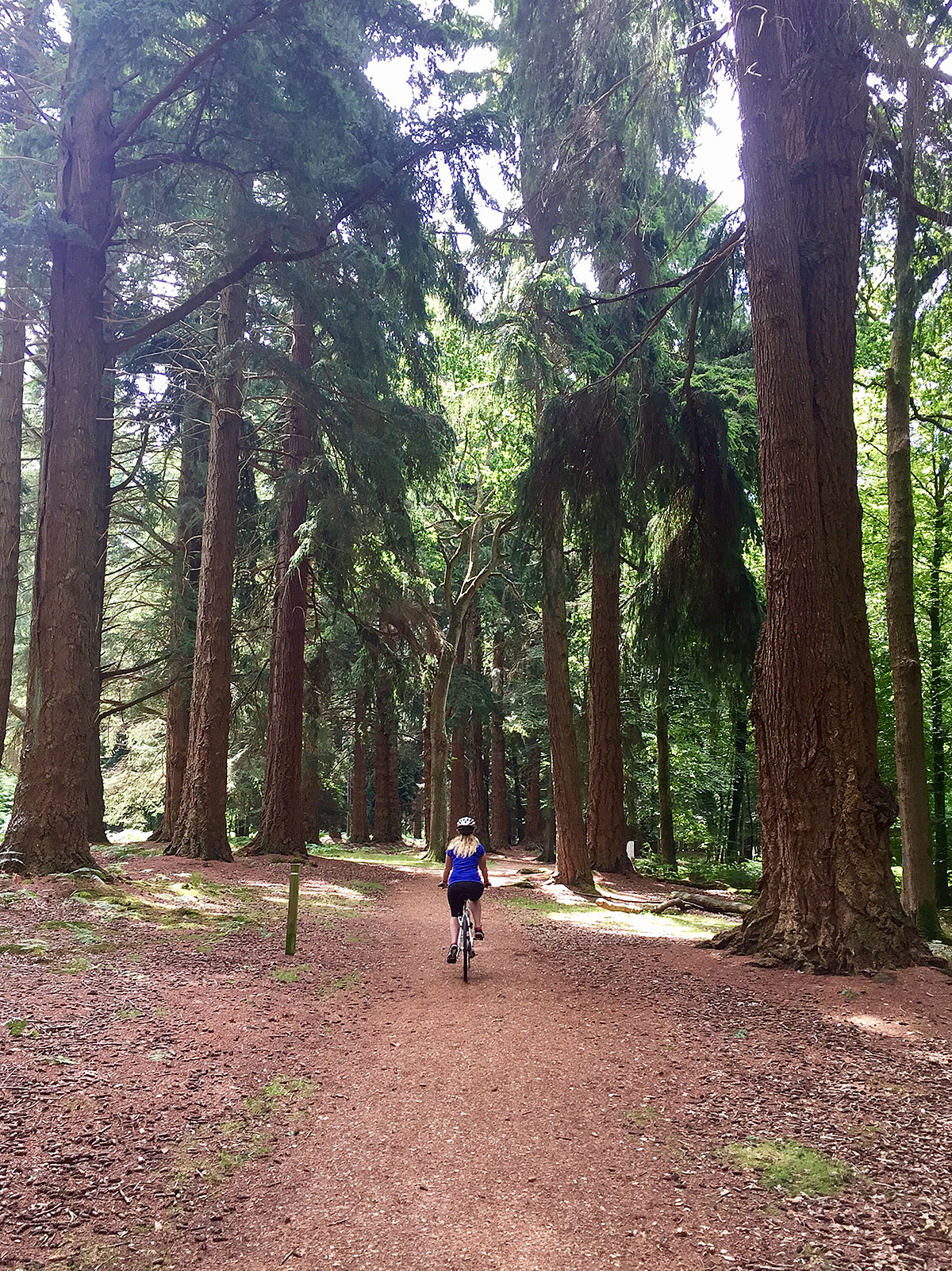 Jess riding her bicycle through woodland