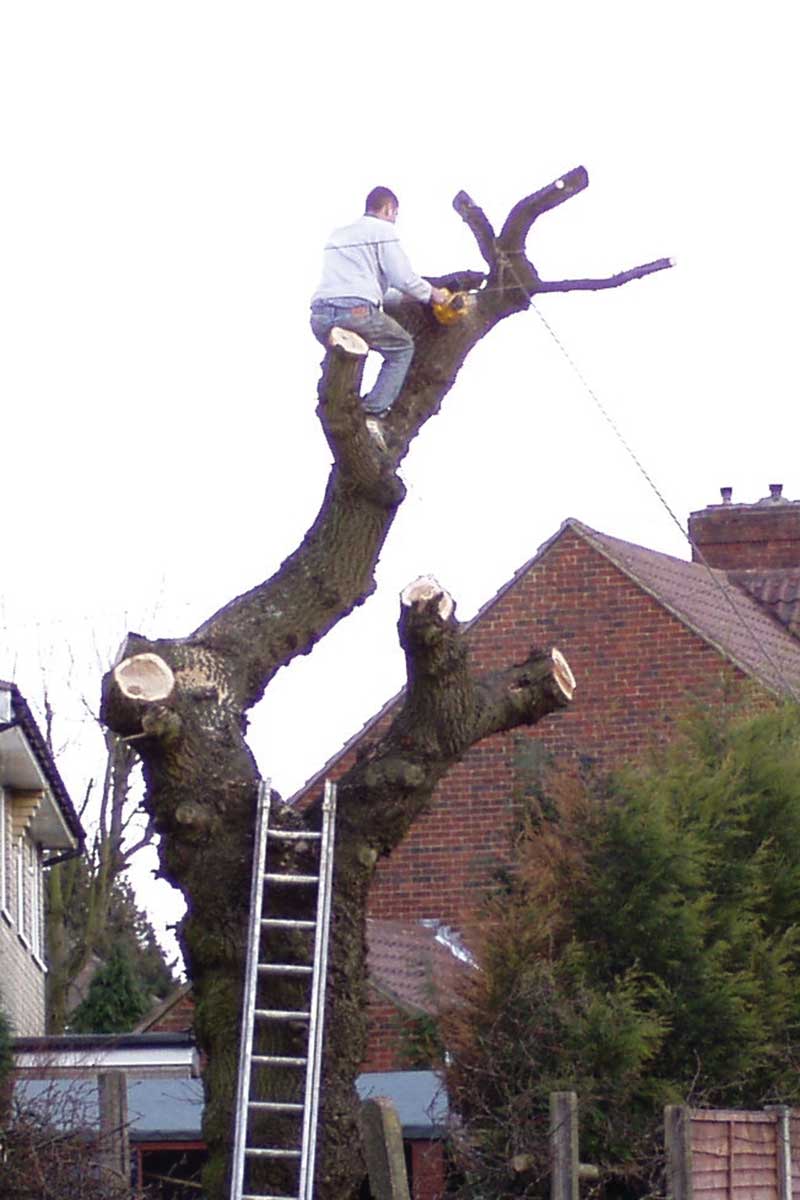 Bad Climbing Practice