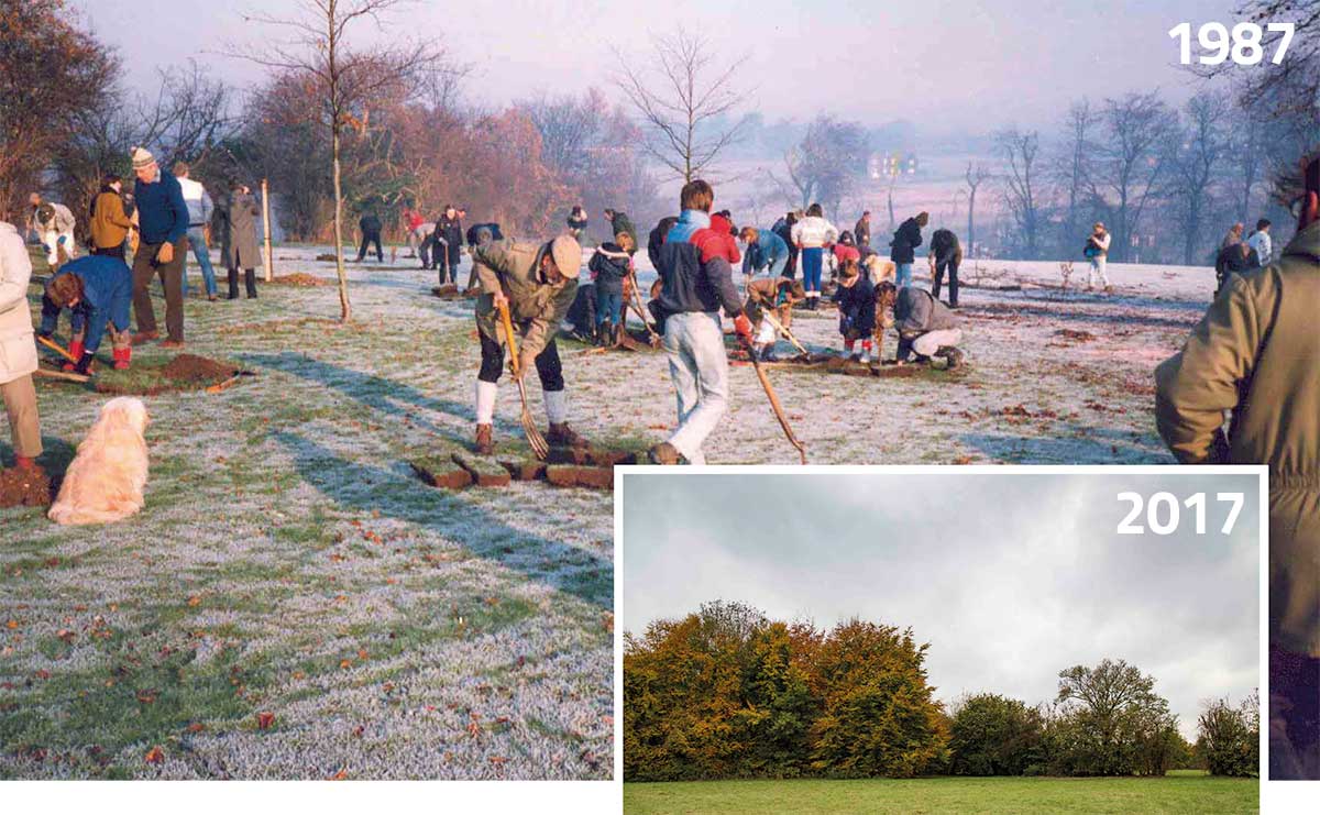Oaks Park, Carshalton (London Borough of Sutton), community tree planting, 29 November 1987 and Oaks Park November 2017