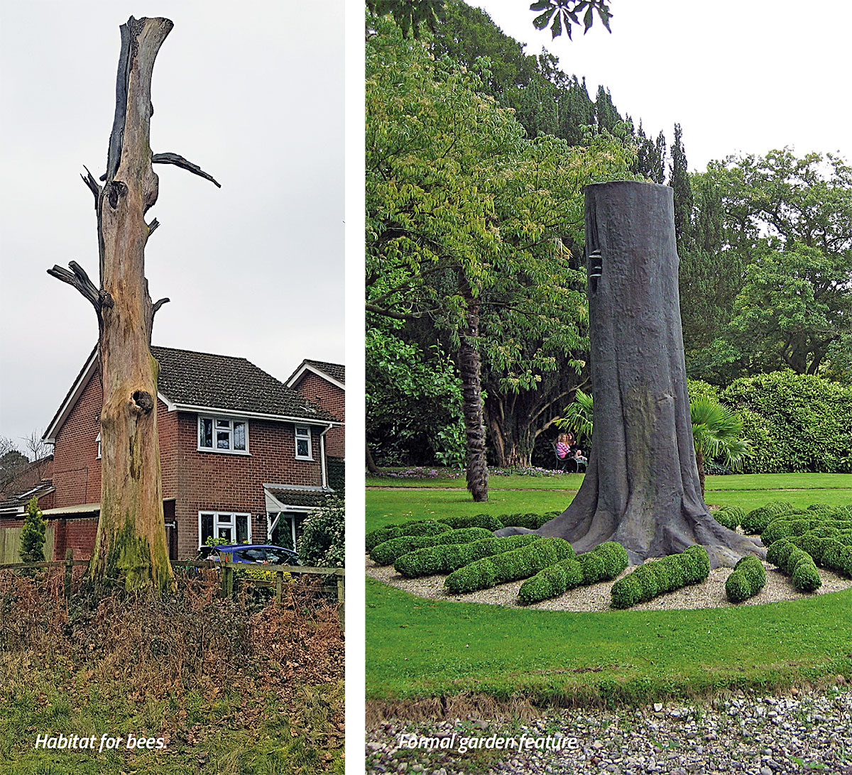 A habitat for trees and a formal garden feature A habitat for trees and a formal garden feature