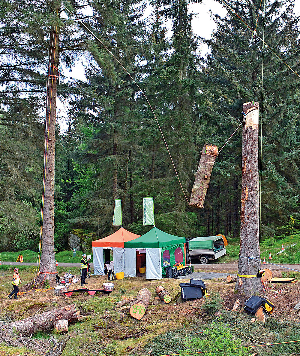 Snatching one of the medium-size test masses. All drops were static. The piece was tied off on the lowering device at the base of the tree. (Photo: Treemagineers Ltd)