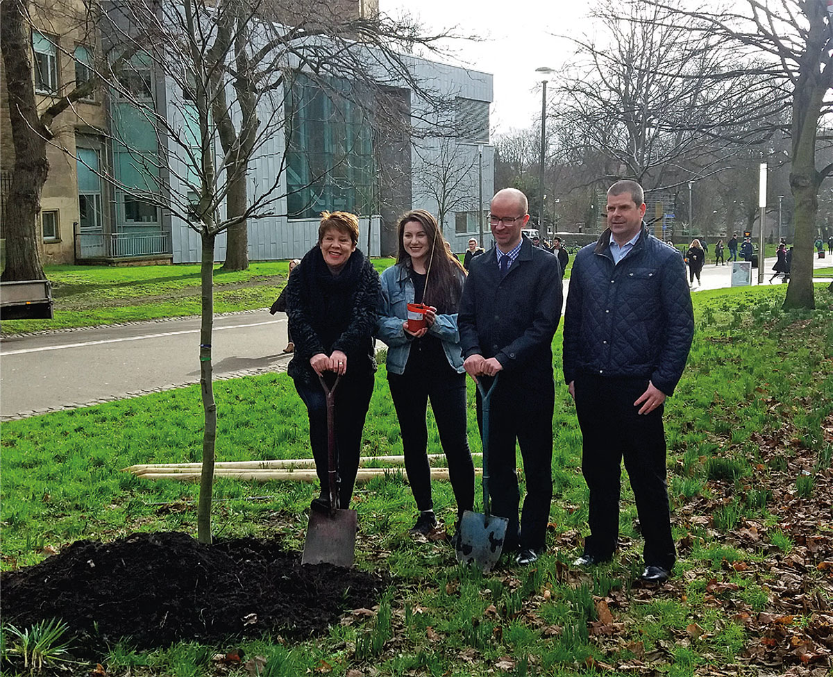 New urban trees funded by Investec through Tree Time Edinburgh. (Photo: Richard Darke)