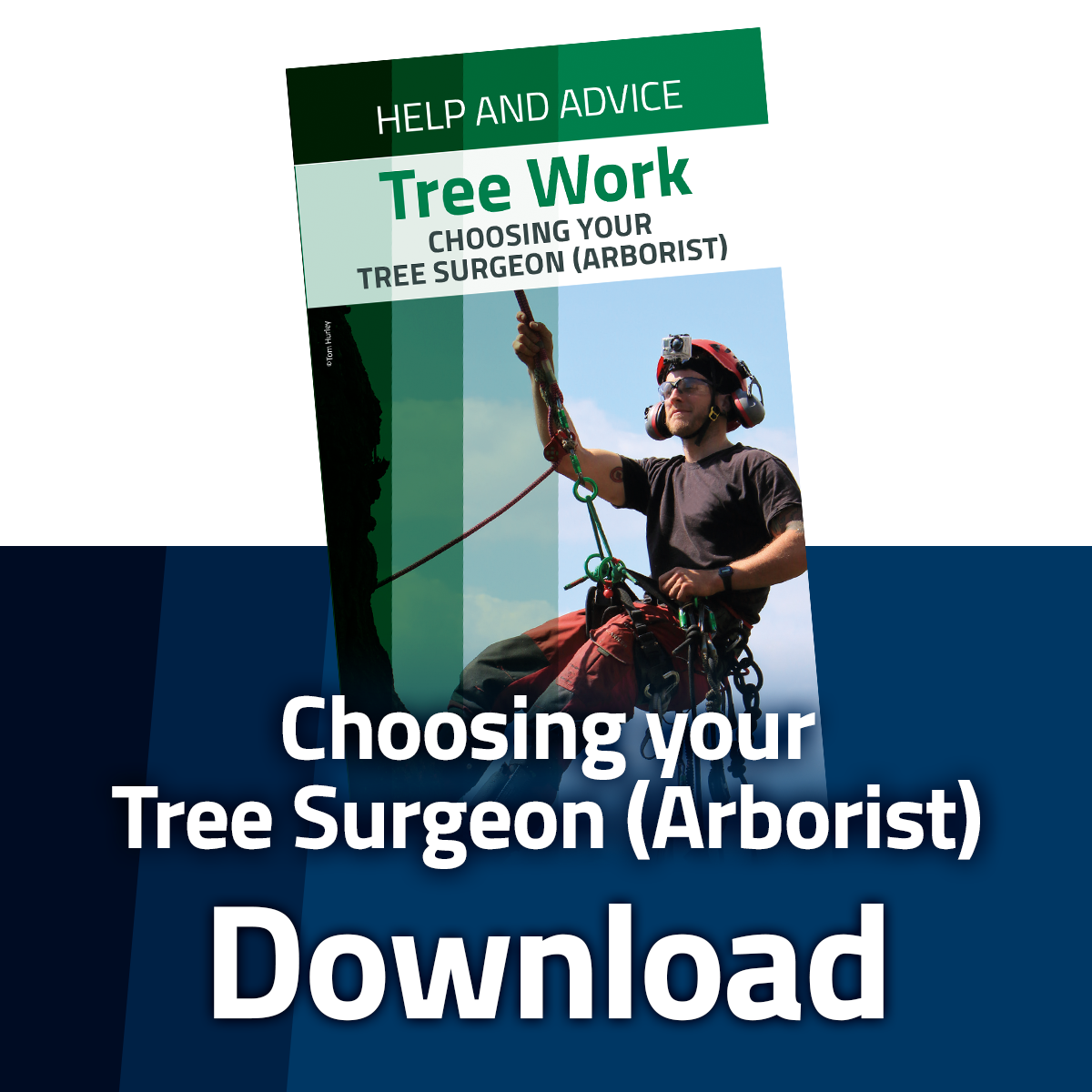 Download the Choosing Your Arborist Leaflet