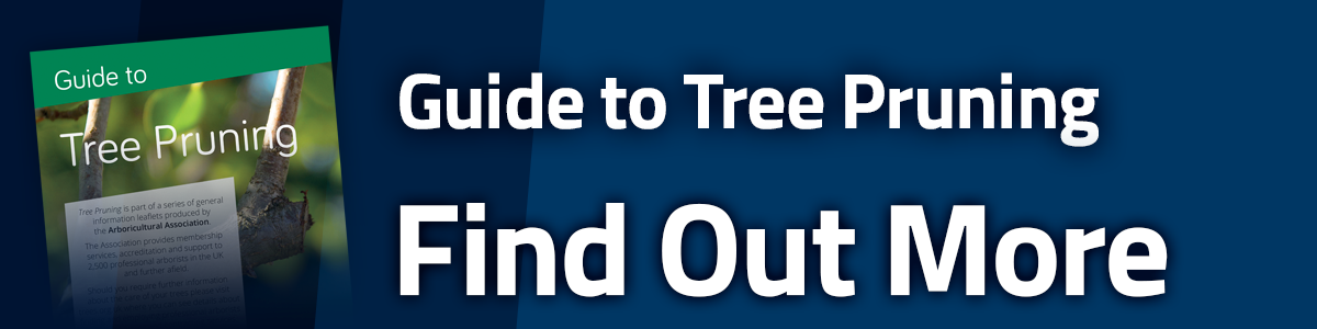 Find Out More about Tree Pruning