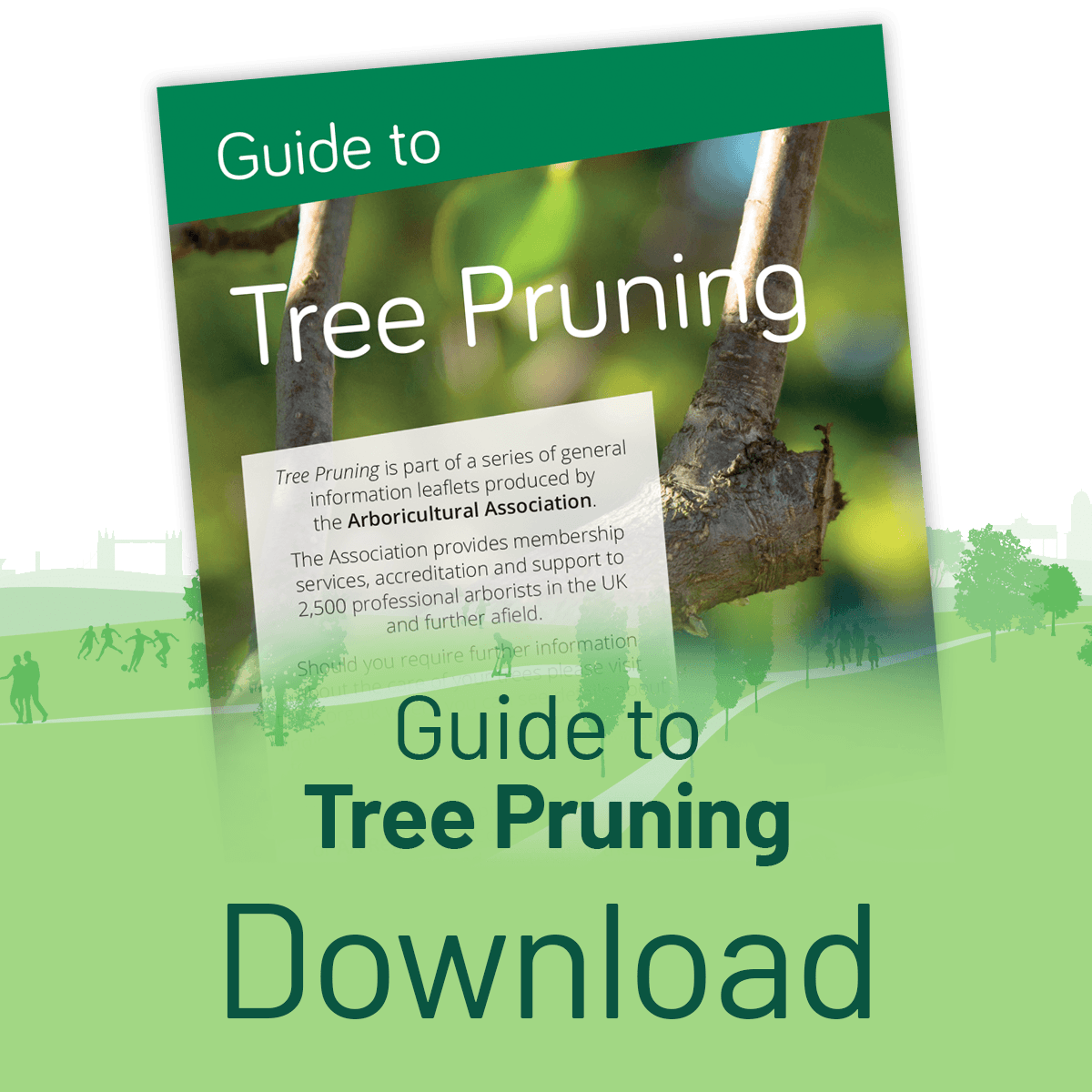 Download the Guide to Pruning