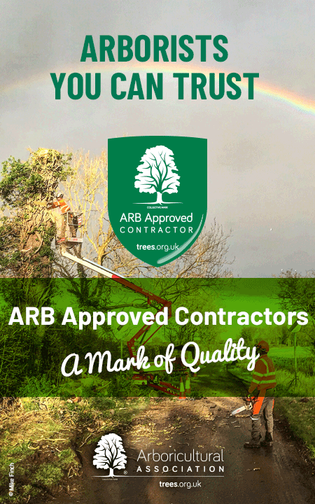 ARB Approved Contractors – Arborists you can Trust