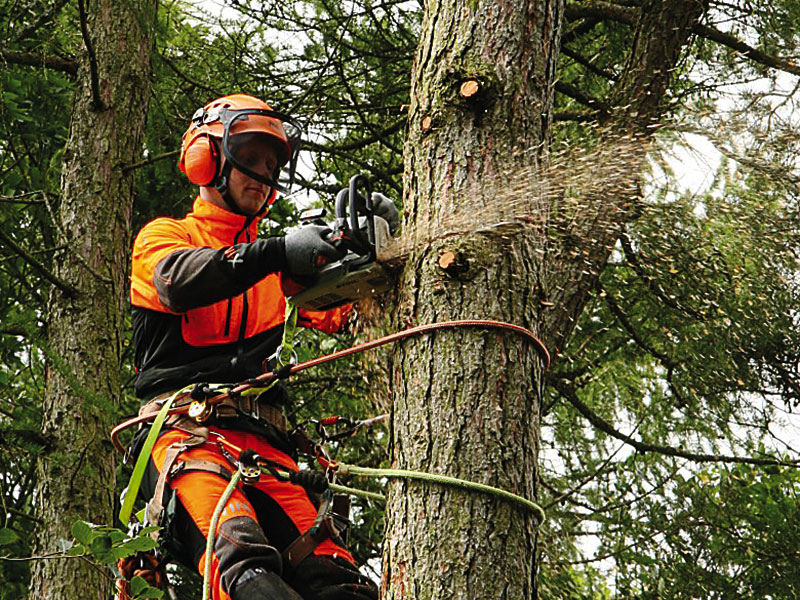 ARB Approved Contractor